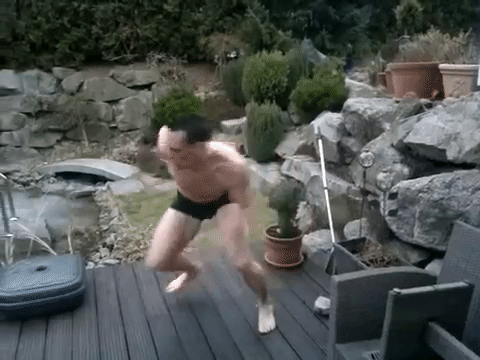 SWISH video comedy category